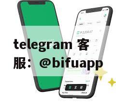 币付Pay：菲律宾安全支付与代收代付服务