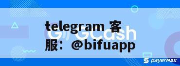 币付Pay提供GCash支付直连与代收代付服务